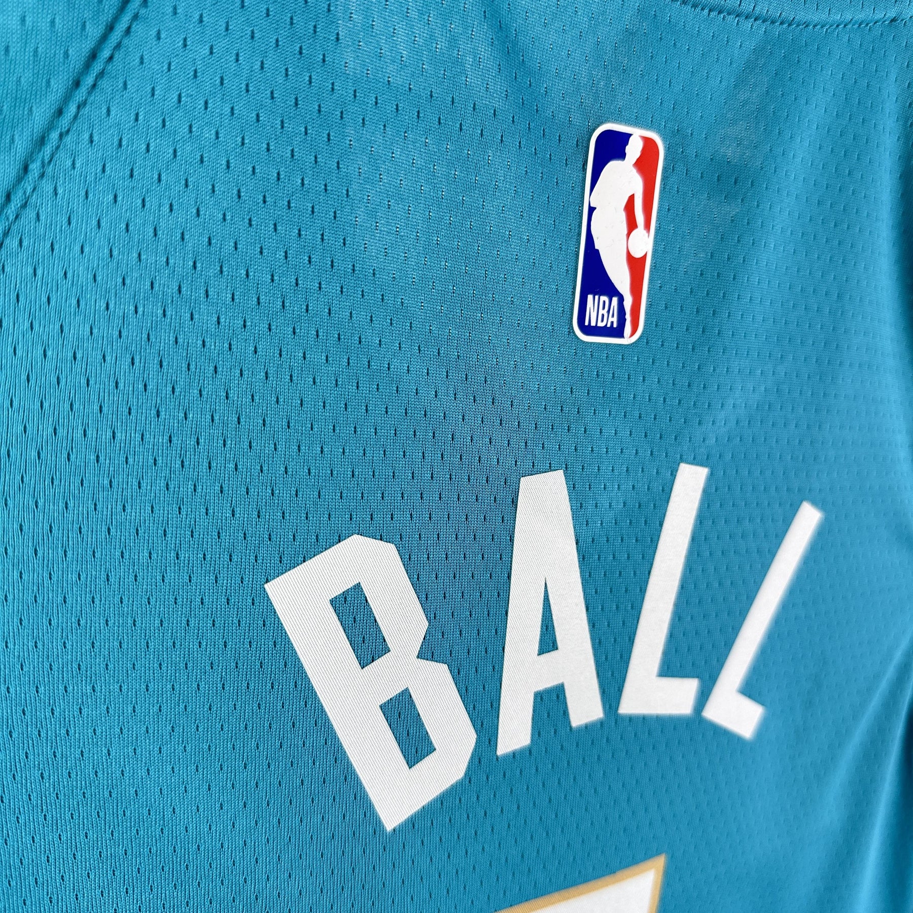 Regata NBA Charlotte Hornets - City Edition 2023-24